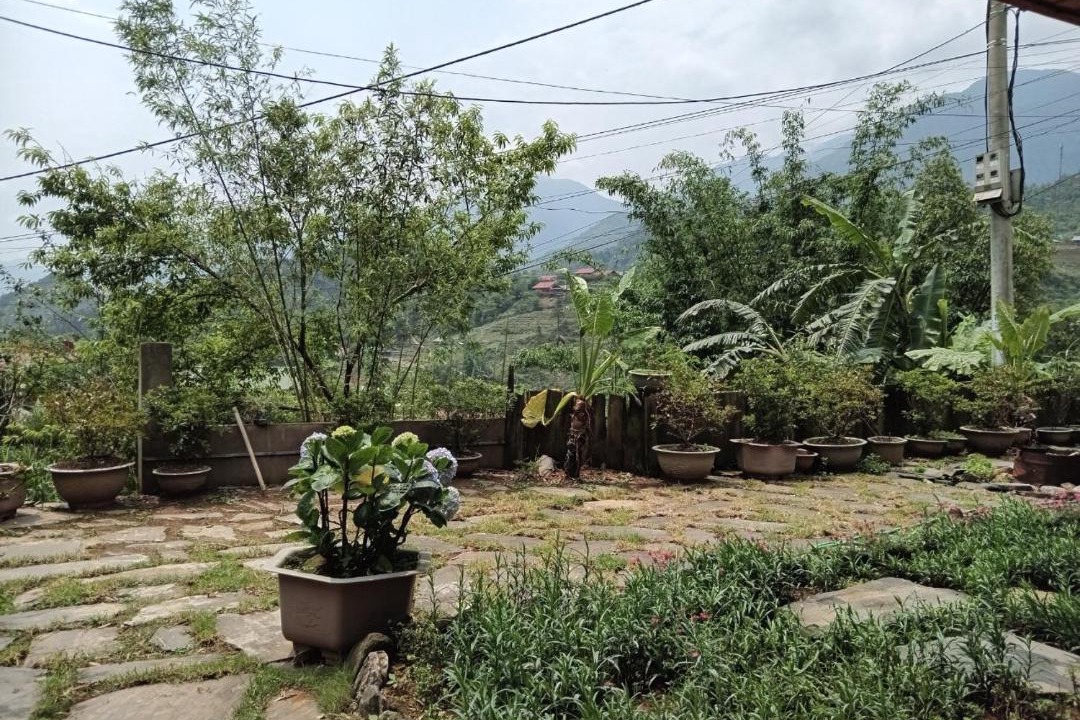 Photo of Others in Cat Cat Village