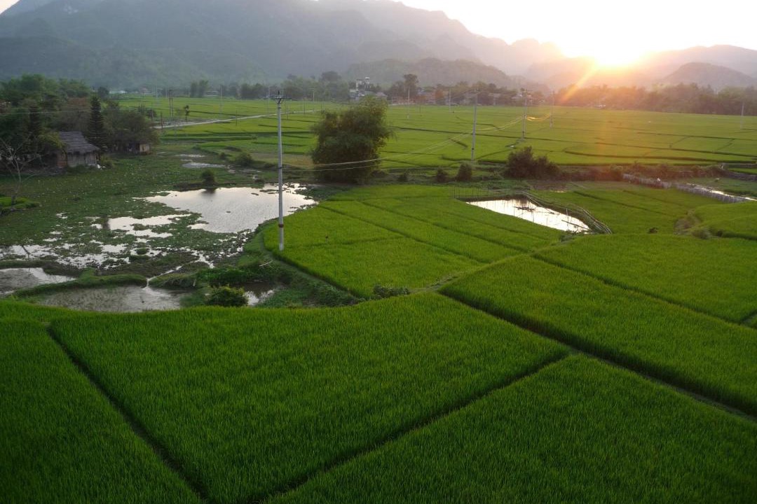 Photo of Others in Mai Chau