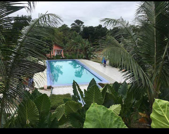 Photo of Outdoor in Pancawati