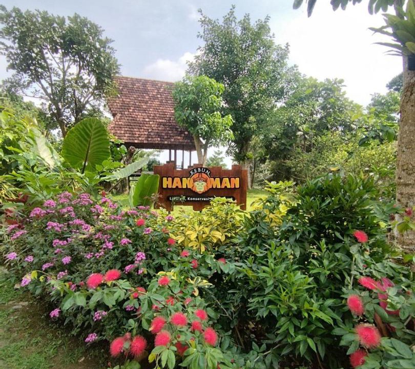 Photo of Others in Karanganyar