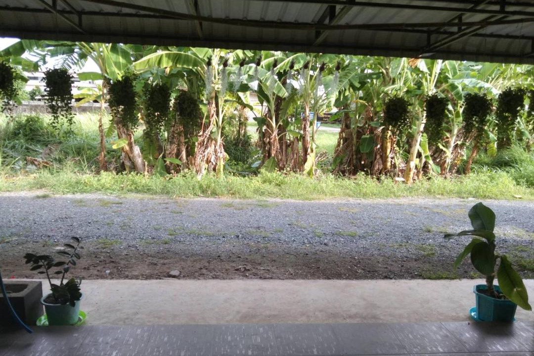 Photo of Others in Laem Ngop