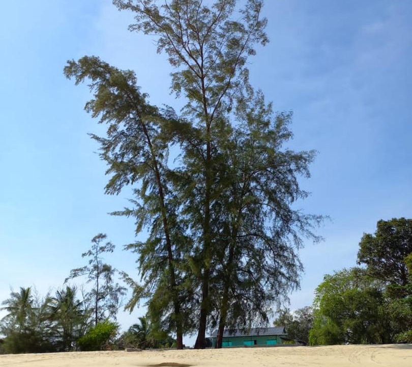 Photo of Others in Cherating