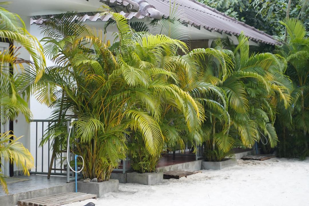Photo of Others in Koh Rong