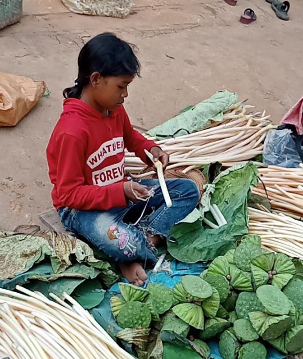 Photo of Others in Kratie
