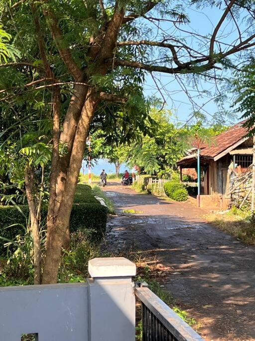 Photo of Others in Garut