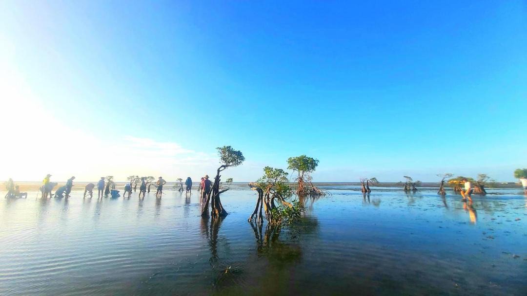 Photo of Others in Waingapu
