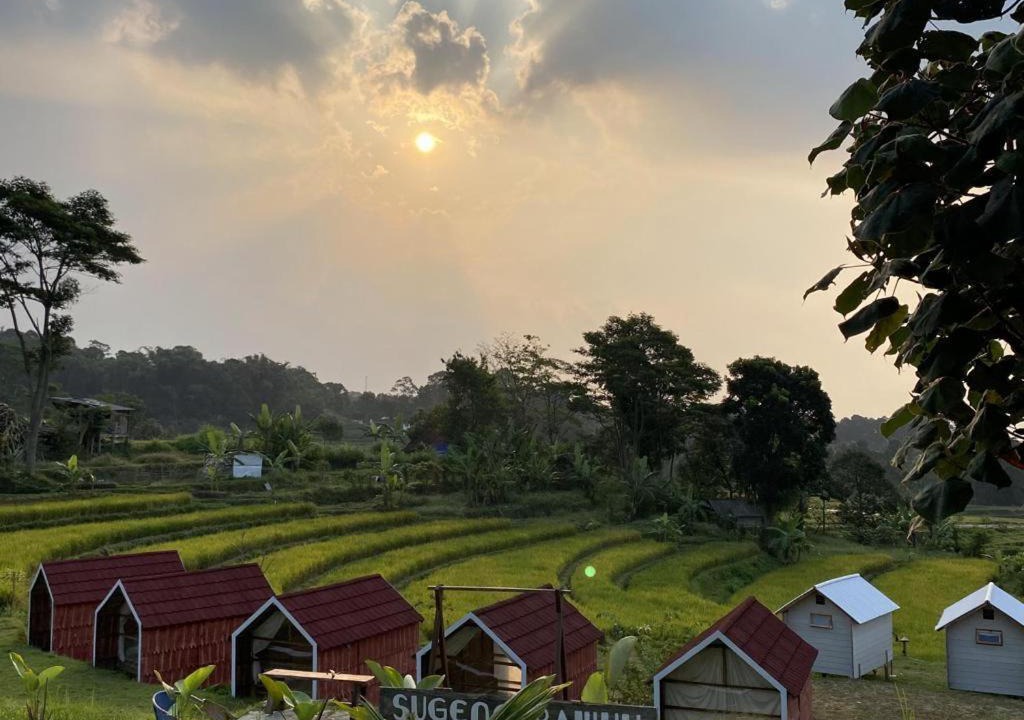 Photo of Others in Trawas