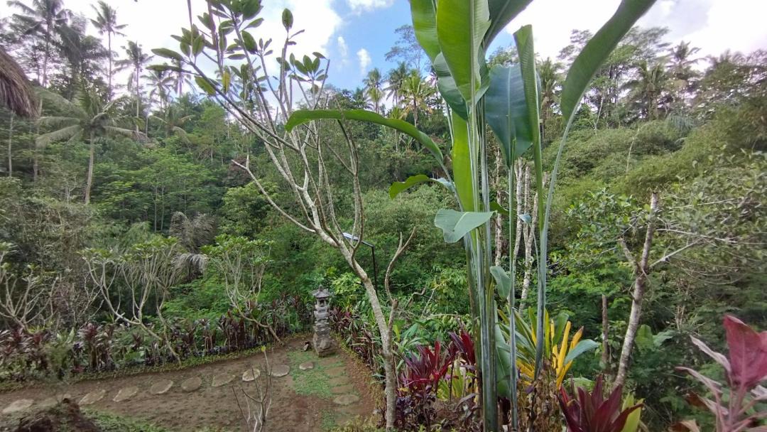 Photo of Outdoor in Sebatu