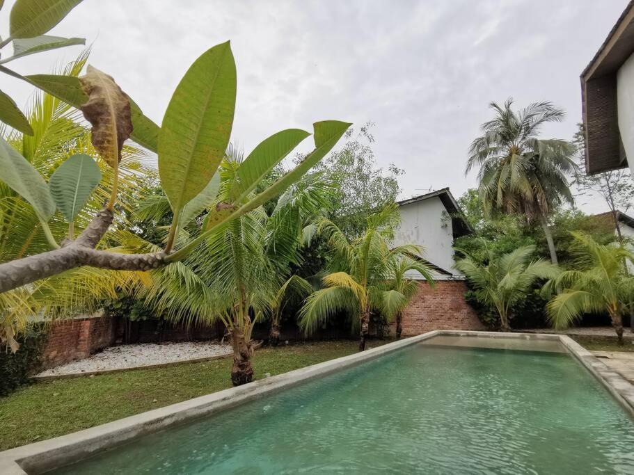 Photo of Outdoor in Taman Pantai Dickson