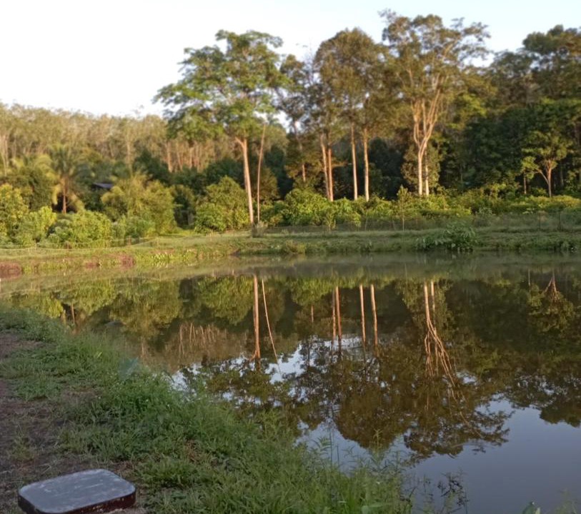 Photo of Others in Kuala Krai