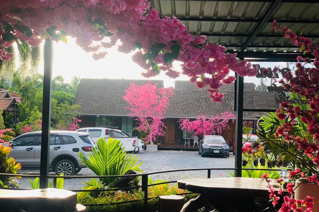 Photo of Others in Sao Phao
