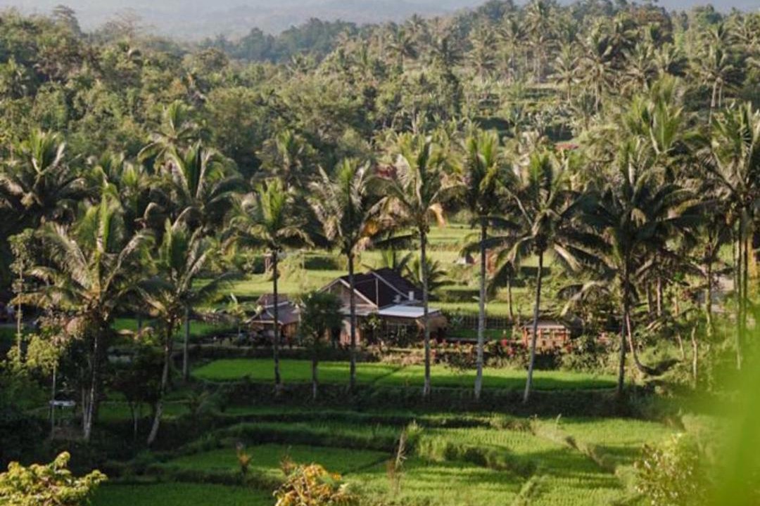 Photo of Others in Tetebatu