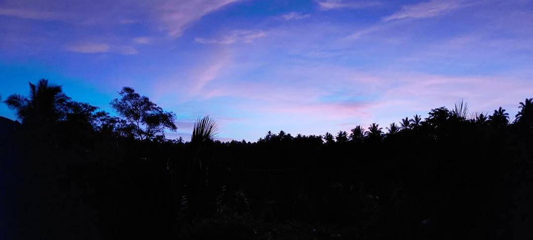 Photo of Outdoor in East Selemadeg