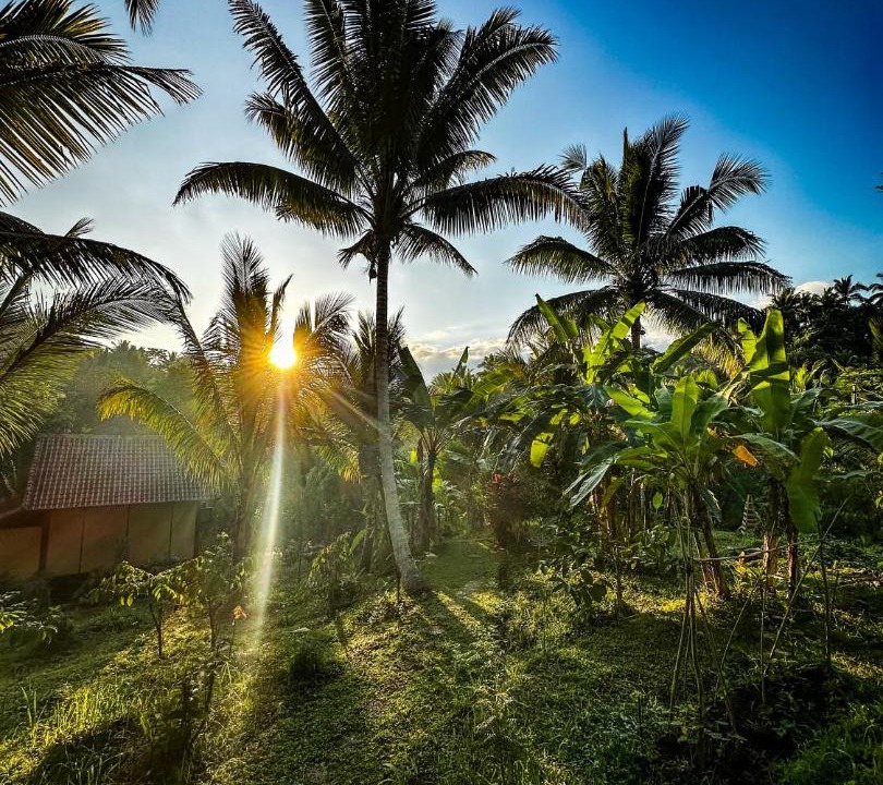 Photo of Outdoor in East Selemadeg