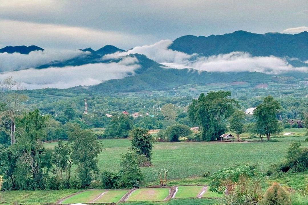 Photo of Others in Pai