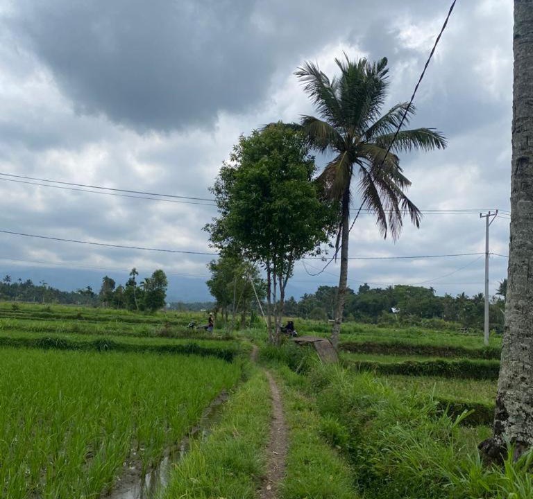 Photo of Others in Kotaraja