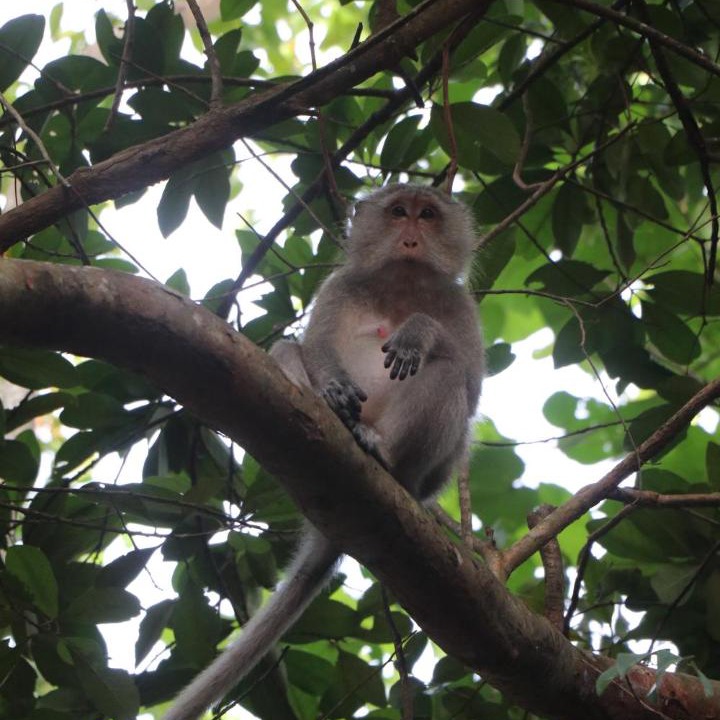 Photo of Others in Koh Rong