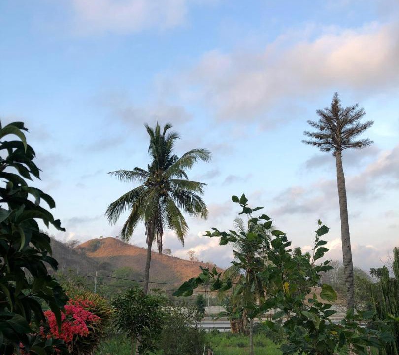 Photo of Others in Kuta