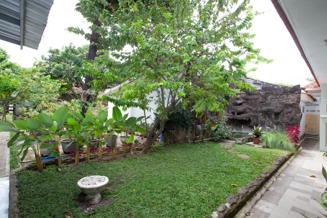 Photo of Others in Banyuwangi