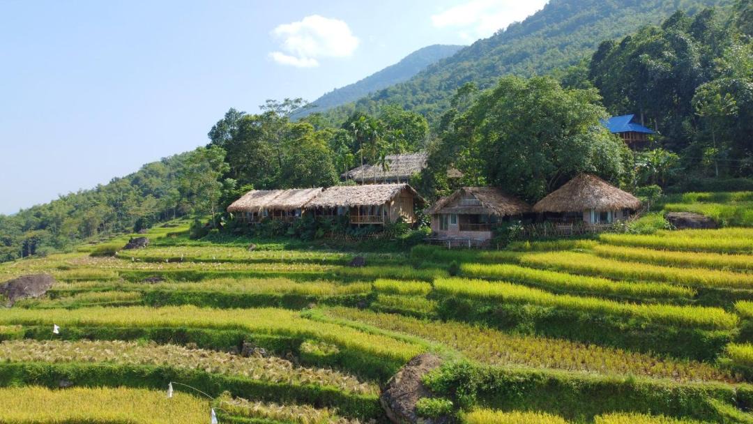 Photo of Others in Pu Long Nature Reserve