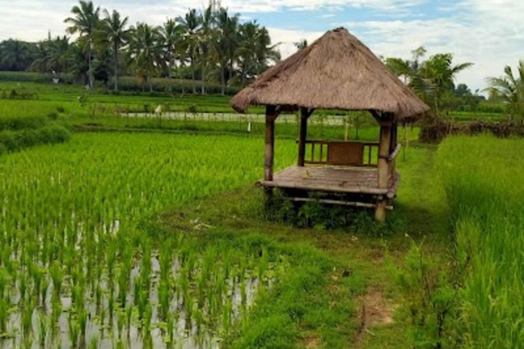 Photo of Others in Batukliang