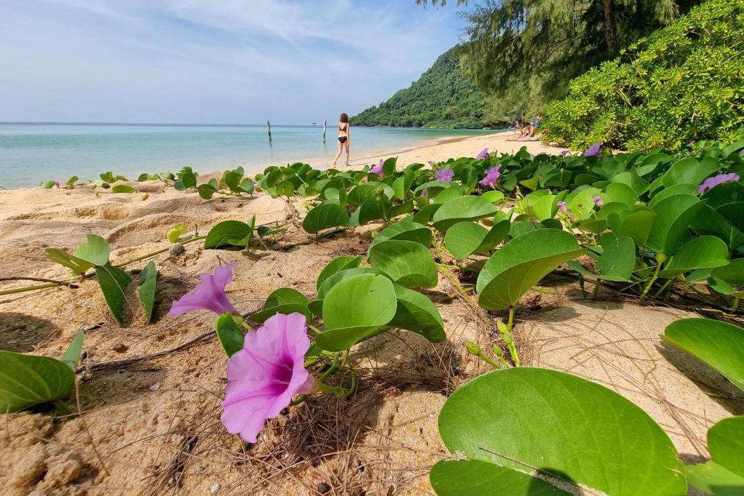 Photo of Others in Koh Rong Sanloem