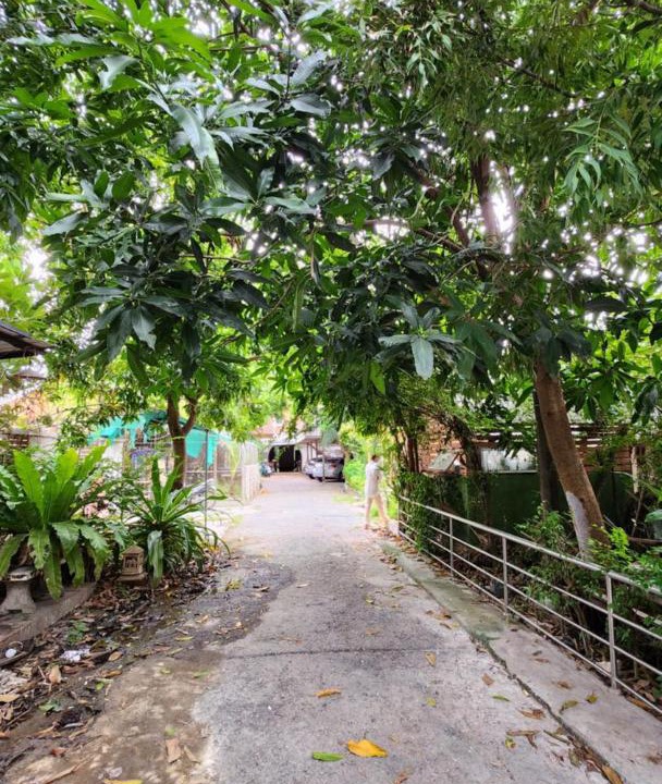 Photo of Outdoor in Ayutthaya