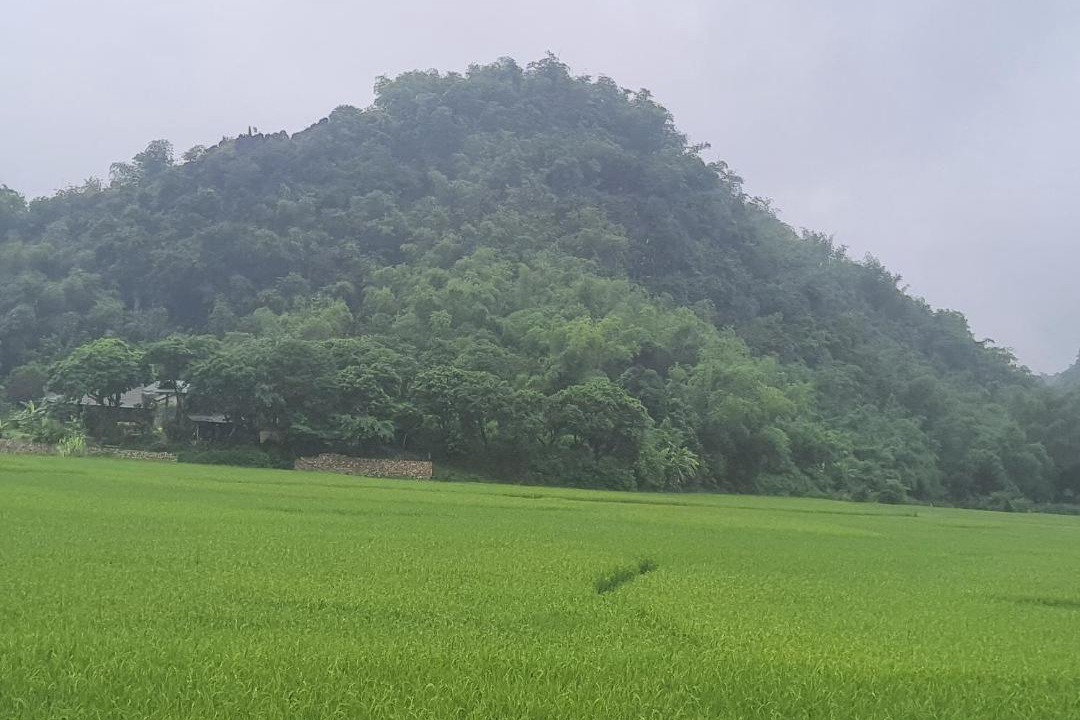 Photo of Others in Mai Chau