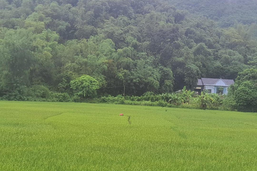 Photo of Others in Mai Chau