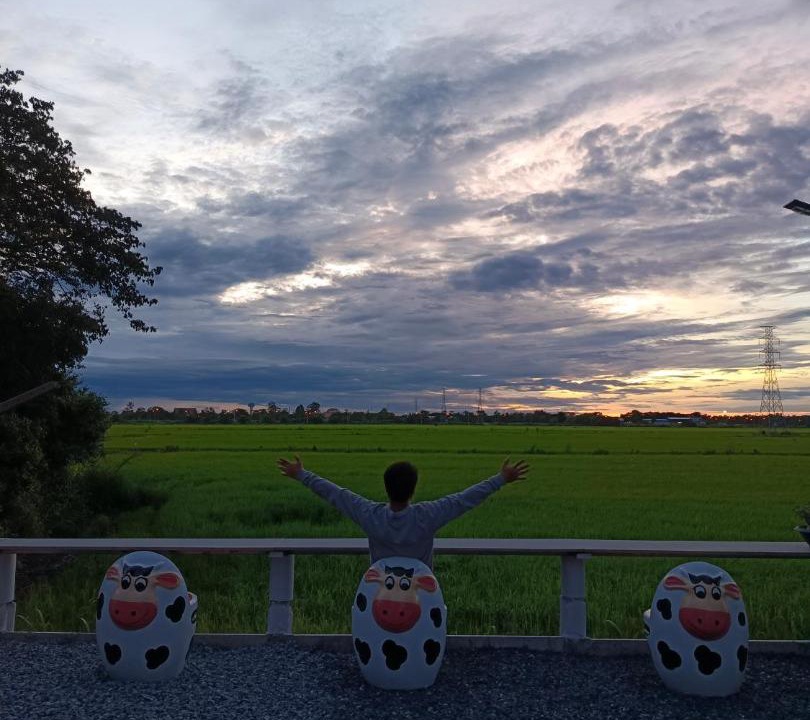 Photo of Others in Ayutthaya