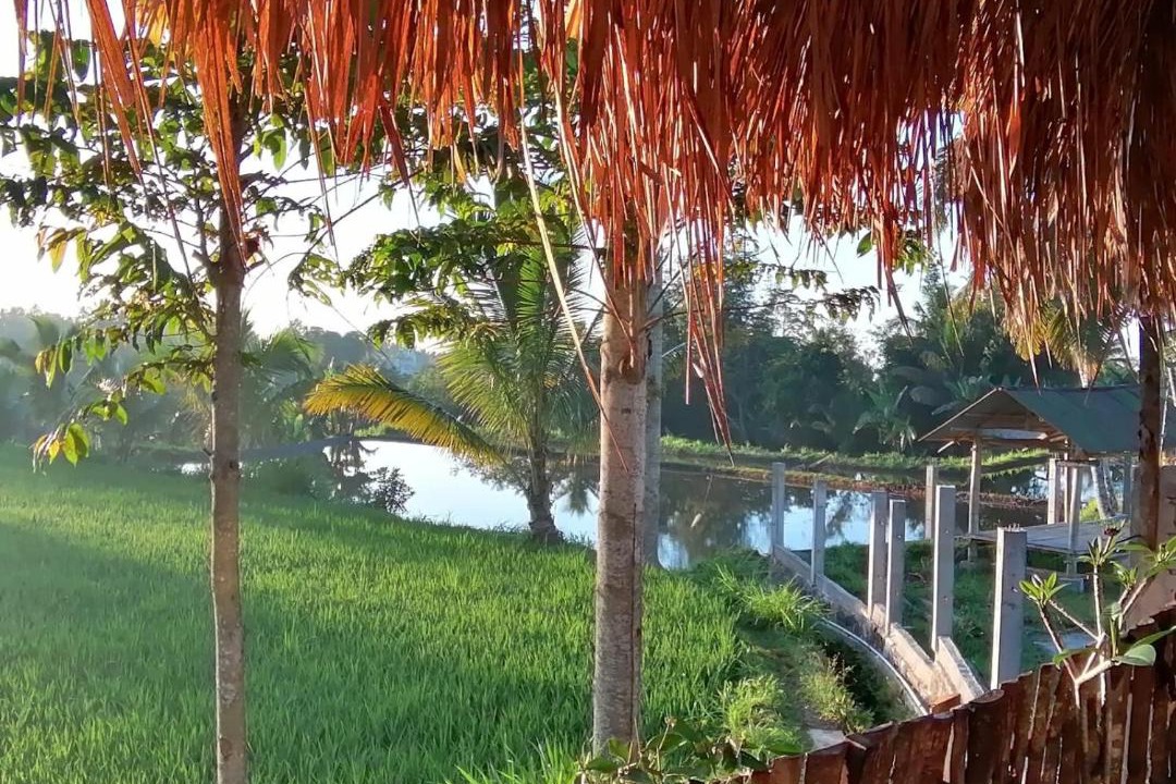 Photo of Others in Tetebatu