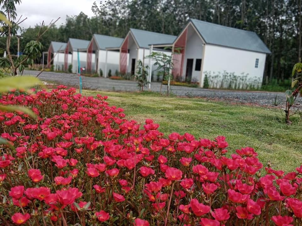 Photo of Buildings in Bung Khong Long