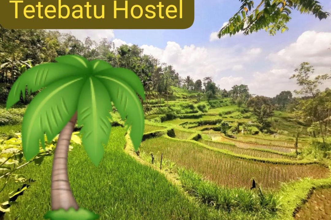 Photo of Others in Tetebatu