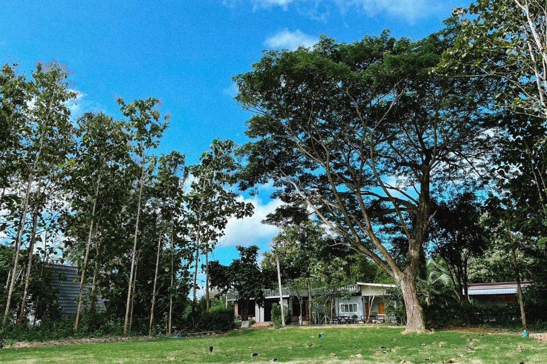 Photo of Others in Fai Kaeo