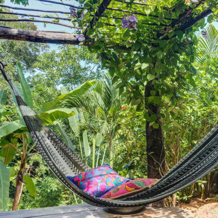 Photo of Others in Puerto Vallarta