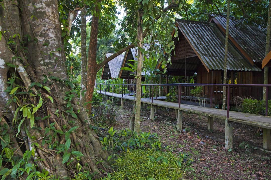 Photo of Others in Khlong Sok