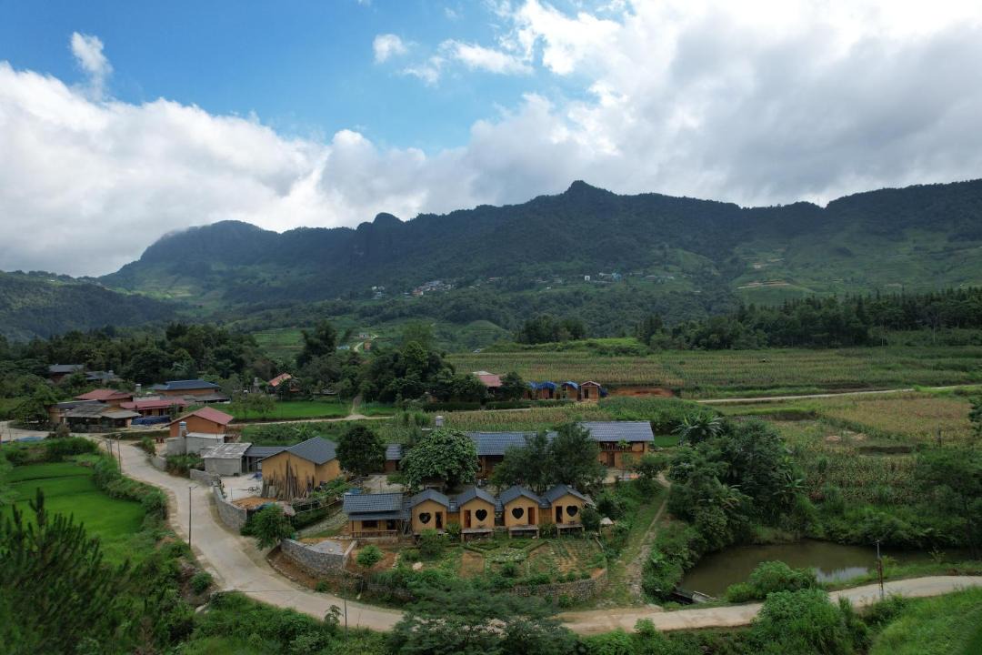 Photo of Others in Quan Ba