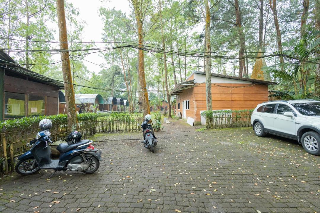 Photo of Others in Batu
