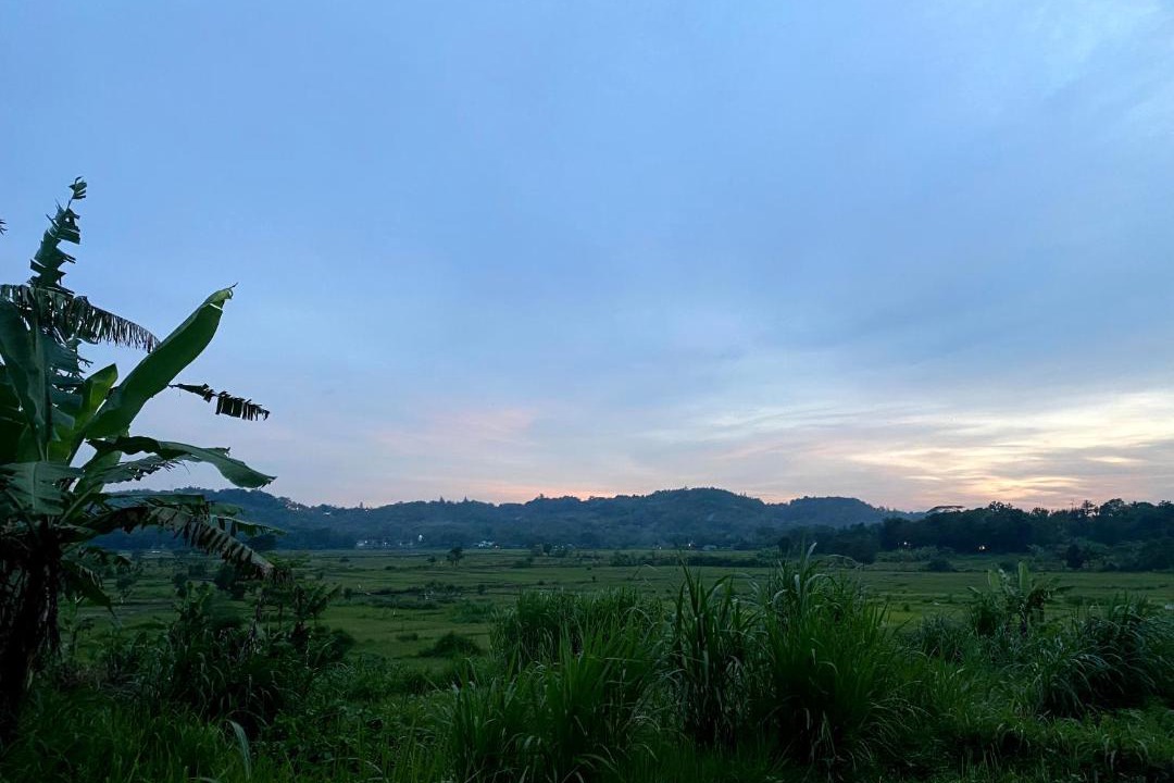 Photo of Others in Bangunjiwo