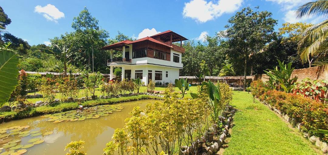 Photo of Buildings in Bohorok