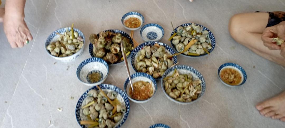 Photo of Others in Ninh Hoa