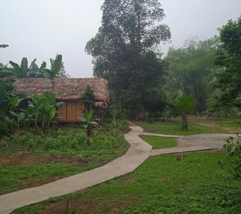 Photo of Others in Chiem Hoa