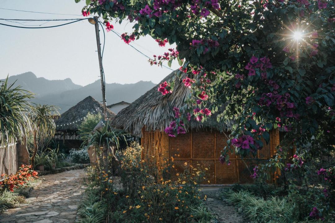 Photo of Others in Moc Chau