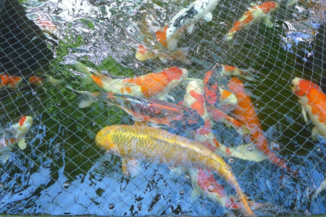 Photo of Others in Kuching