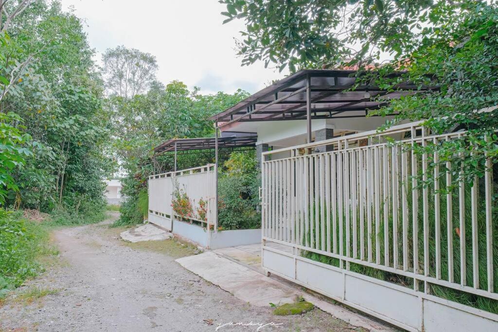 Photo of Buildings in Ngemplak