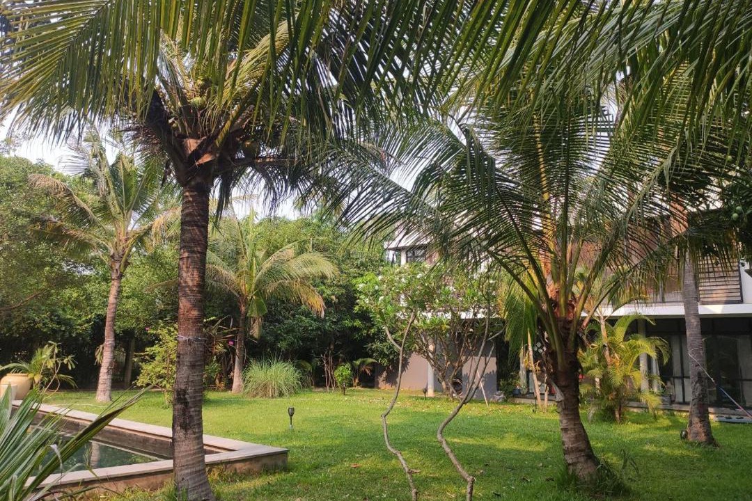 Photo of Outdoor in Siem Reap