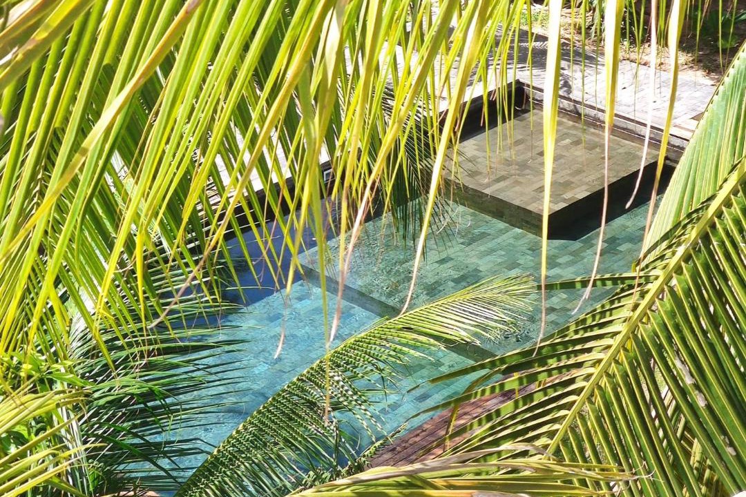 Photo of Others in Siem Reap