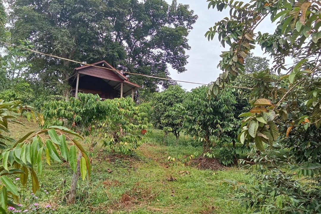 Photo of Others in Ban Lung