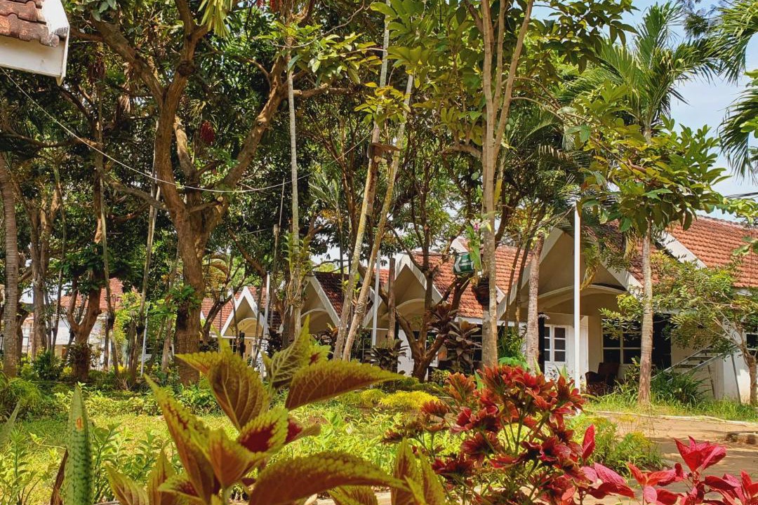 Photo of Others in Tosari
