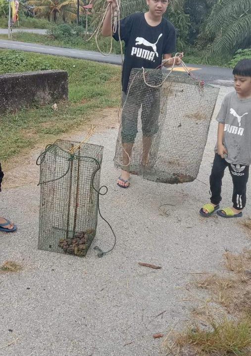 Photo of Others in Sabak Bernam District